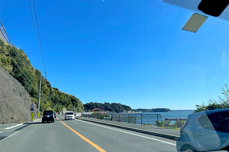 セカンドステージ カトリさん car trip 浜松 カネカミカン狩り園