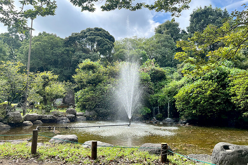 浜松をドライブ！car trip 浜松 三島 柿田川 柿田川豆腐館 貴船神社 柿田川公園 柿田川湧水群への旅