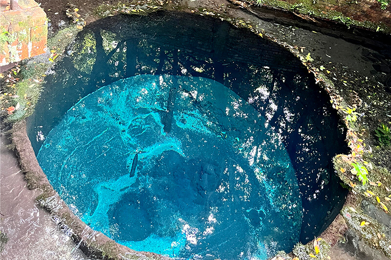 浜松をドライブ！car trip 浜松 三島 柿田川 柿田川豆腐館 貴船神社 柿田川公園 柿田川湧水群への旅