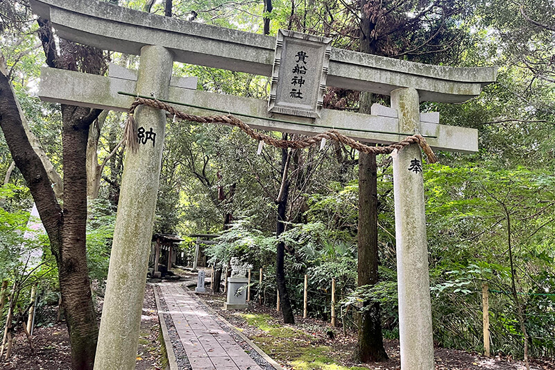 浜松をドライブ！car trip 浜松 三島 柿田川 柿田川豆腐館 貴船神社 柿田川公園 柿田川湧水群への旅