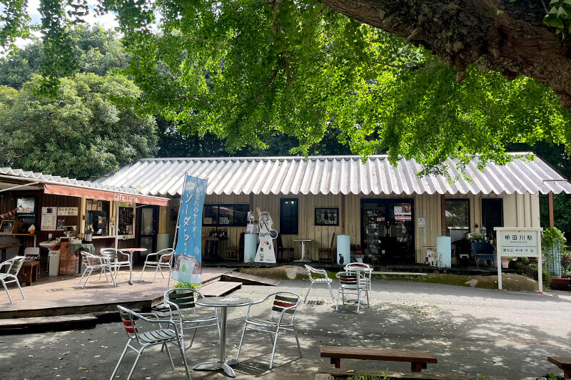 浜松をドライブ！car trip 浜松 三島 柿田川 柿田川豆腐館 貴船神社 柿田川公園 柿田川湧水群への旅