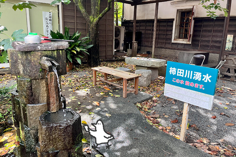 浜松をドライブ！car trip 浜松 三島 柿田川 柿田川豆腐館 貴船神社 柿田川公園 柿田川湧水群への旅